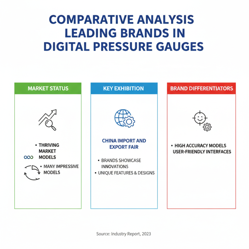 Top Digital Pressure Gauges at China Import and Export Fair?