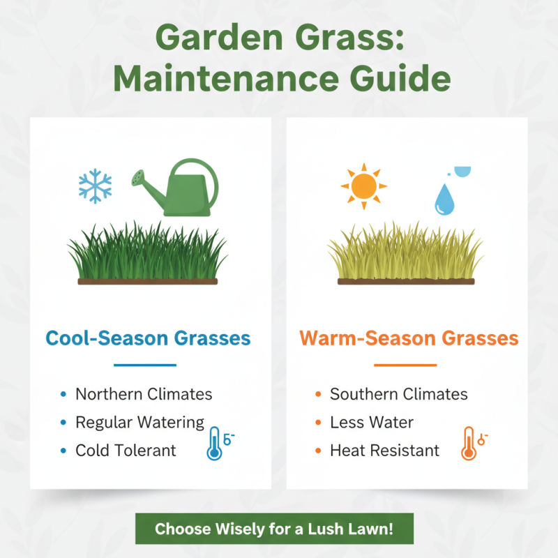 What Types of Garden Grass to Source at the 139th Canton Fair?