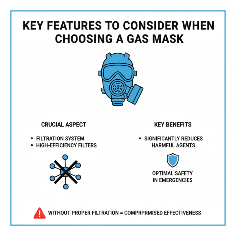 2026 Top Military Gas Mask Options for Safety and Protection?