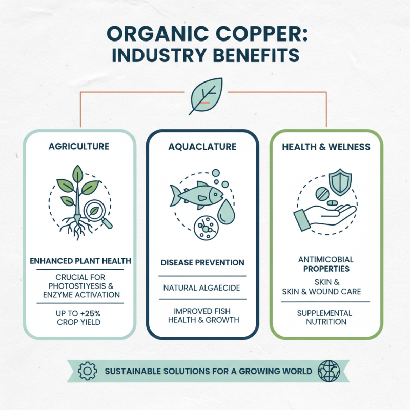 Best Organic Copper Products at 139th Canton Fair Guide?