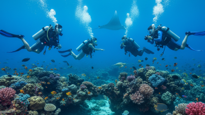 Top 10 Dive Stores You Should Explore for Your Next Underwater Adventure?