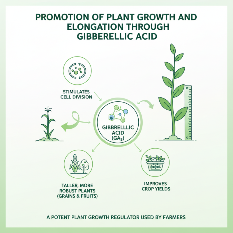 Top 10 Uses of Gibberellic Acid in Plants for Global Trade?