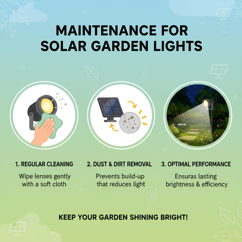 China Top Solar Motion Spotlights Outdoor for Effective Garden Lighting?
