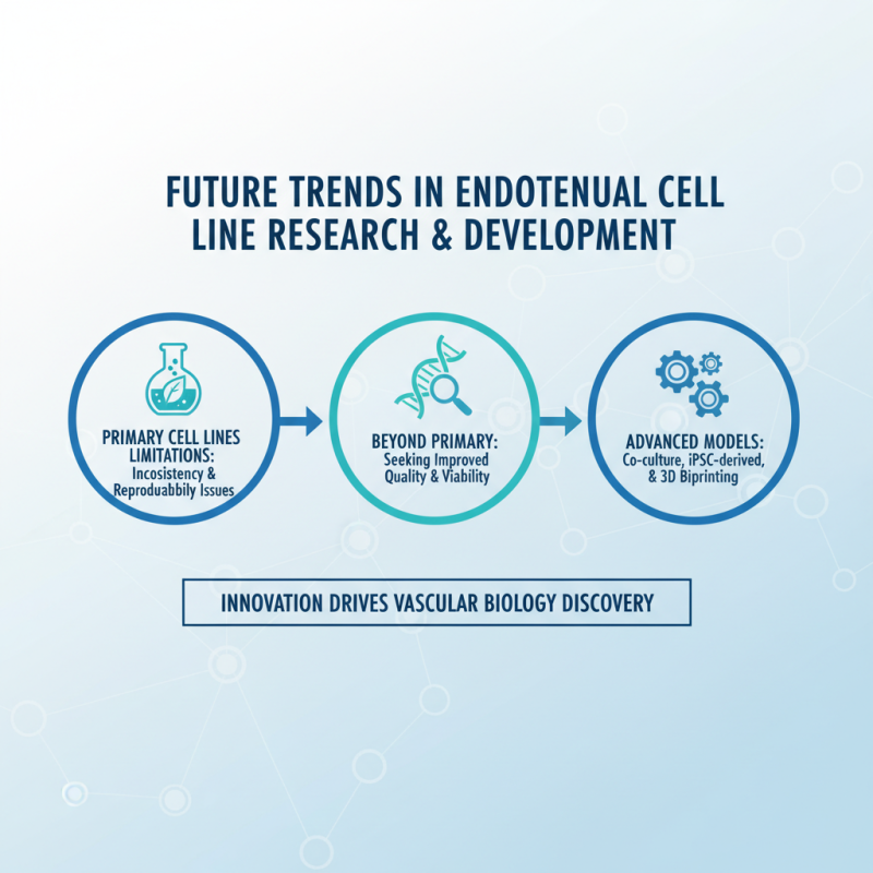 Top Endothelial Cell Lines for Research and Applications?