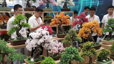 Top 10 Artificial Plant Bonsai to Buy at the 139th Canton Fair?