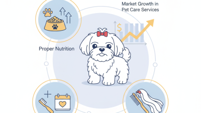 How to Care for a Teacup Maltese Dog in 2026?