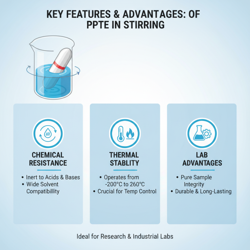 What Makes the Ptfe Magnetic Stirrer Bar a Top Choice in China?