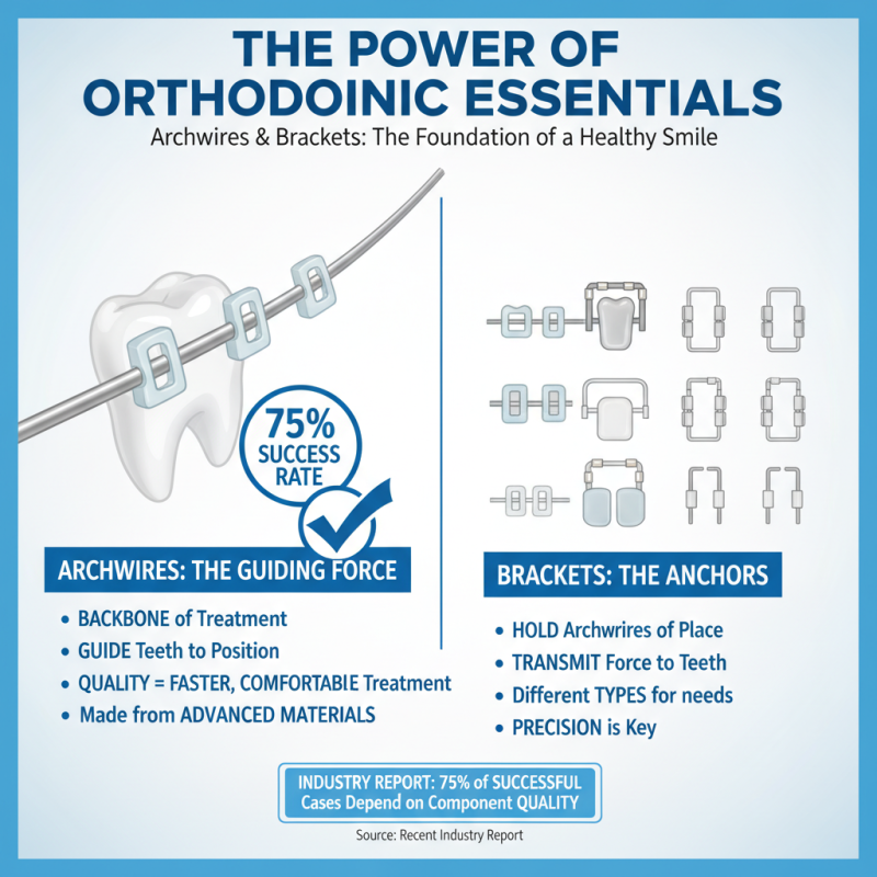 Essential Orthodontic Kit Tips for Attendees of China Import Expo?