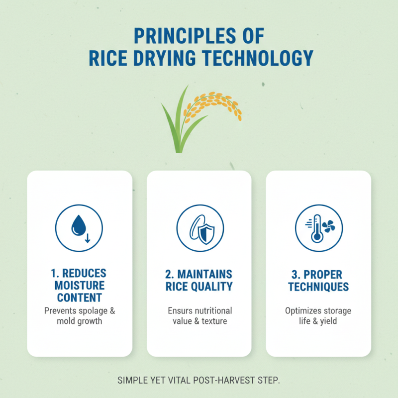 What is a Rice Dryer and How Does It Work?