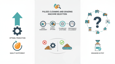 How to Choose the Best Pulses Cleaning and Grading Machine?