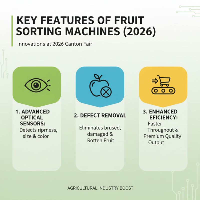 China Best Fruit Sorting Machine for 2026 Canton Fair Insights?