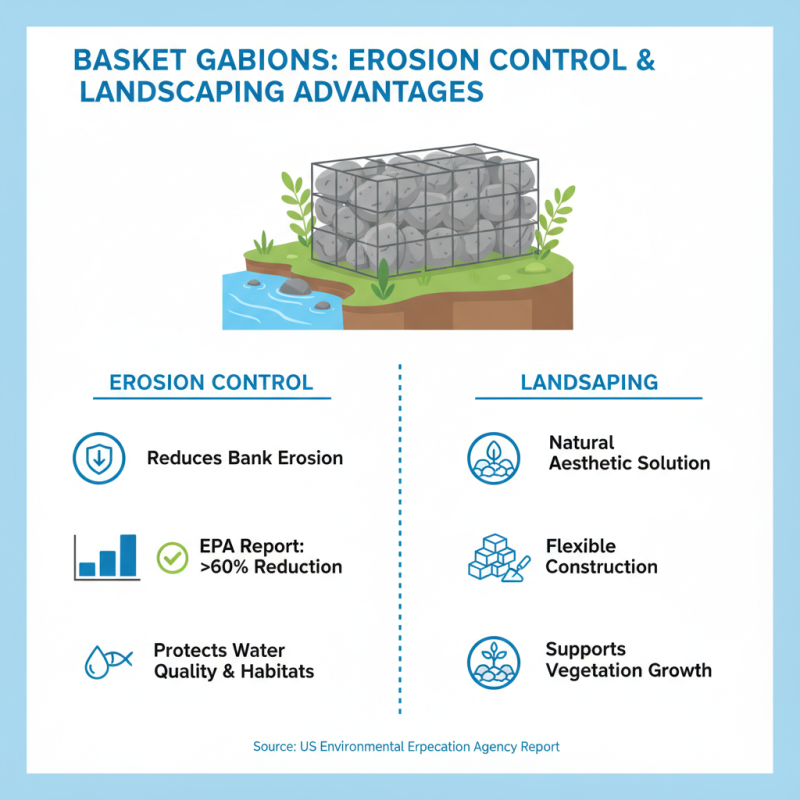 What is a Basket Gabion and Its Uses in Modern Construction?