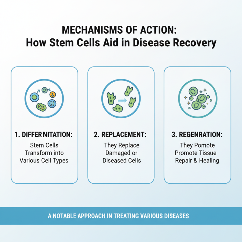 How to Use Stem Cell Therapy for Disease Treatment and Recovery?