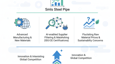 Top 10 Smls Steel Pipe Insights for 2026 China Import Expo?