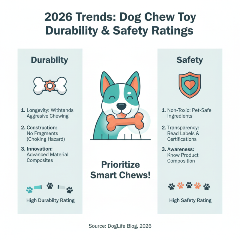 2026 Top Choices for Great Chew Toys For Dogs Which Ones Are Best?