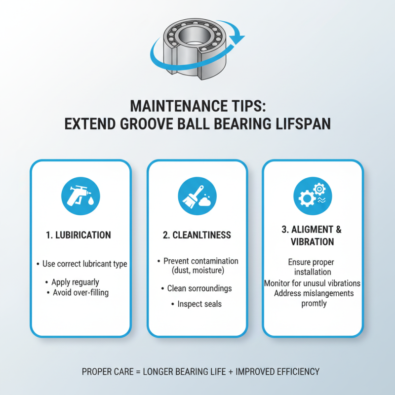 Top 5 Groove Ball Bearings You Should Know About?