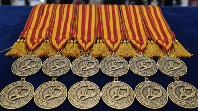 China Top 10 Wrestling Medals Insights for 2026 Canton Fair?