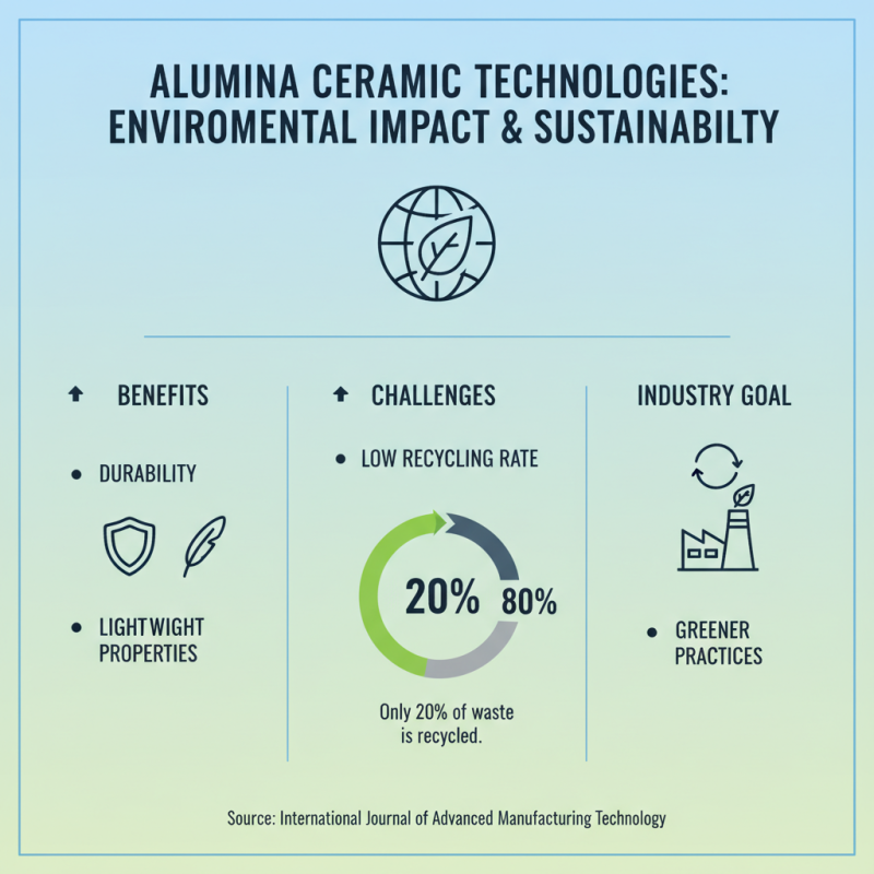 2026 Top Trends in Alumina Ceramic Bearings and Shafts Technology?
