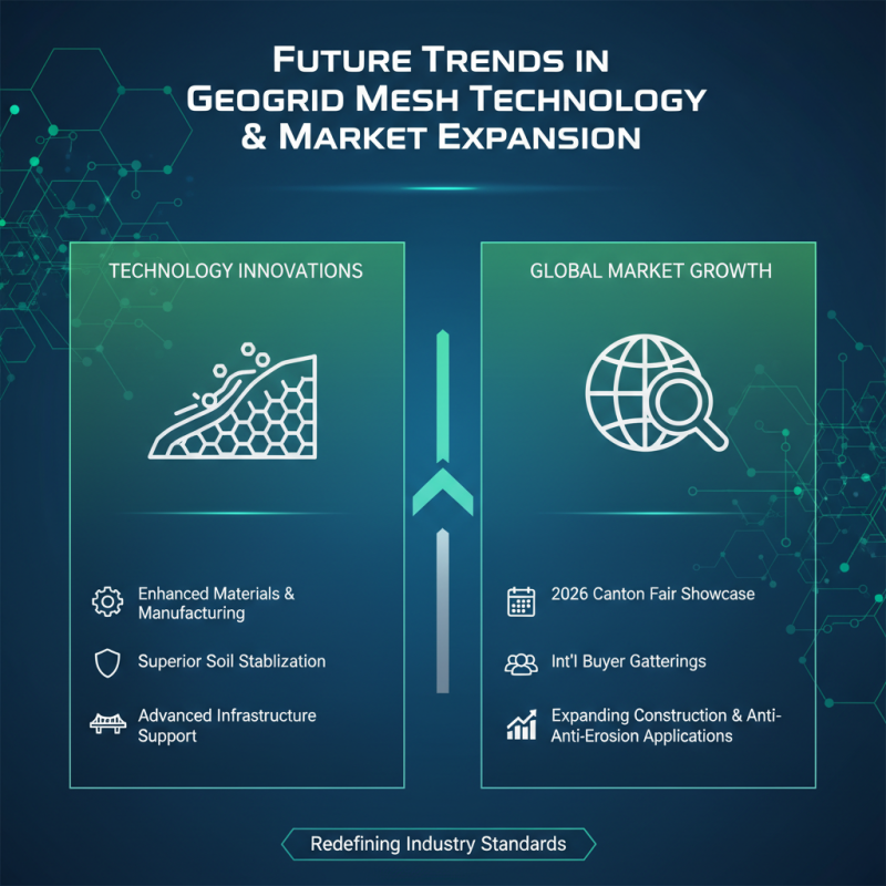 Geogrid Mesh Solutions at the 2026 Canton Fair for Global Buyers?