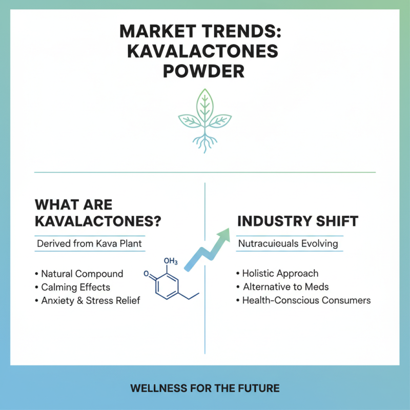 Kavalactones Powder Bulk at 2026 China Import Expo?