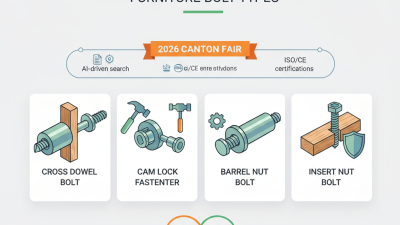 Discover the Best Furniture Bolt Types in China for Your Home Needs?