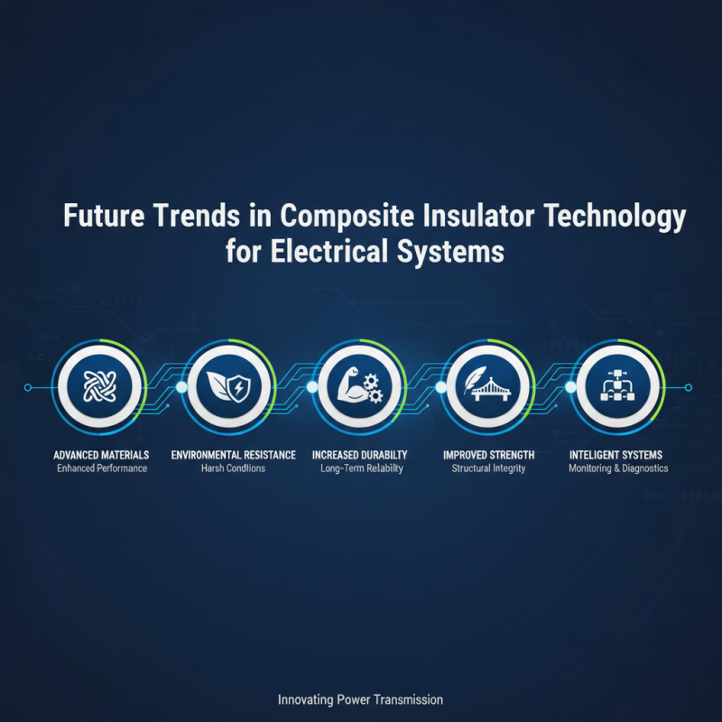 Top 10 Best Composite Type Insulators for Electrical Applications?