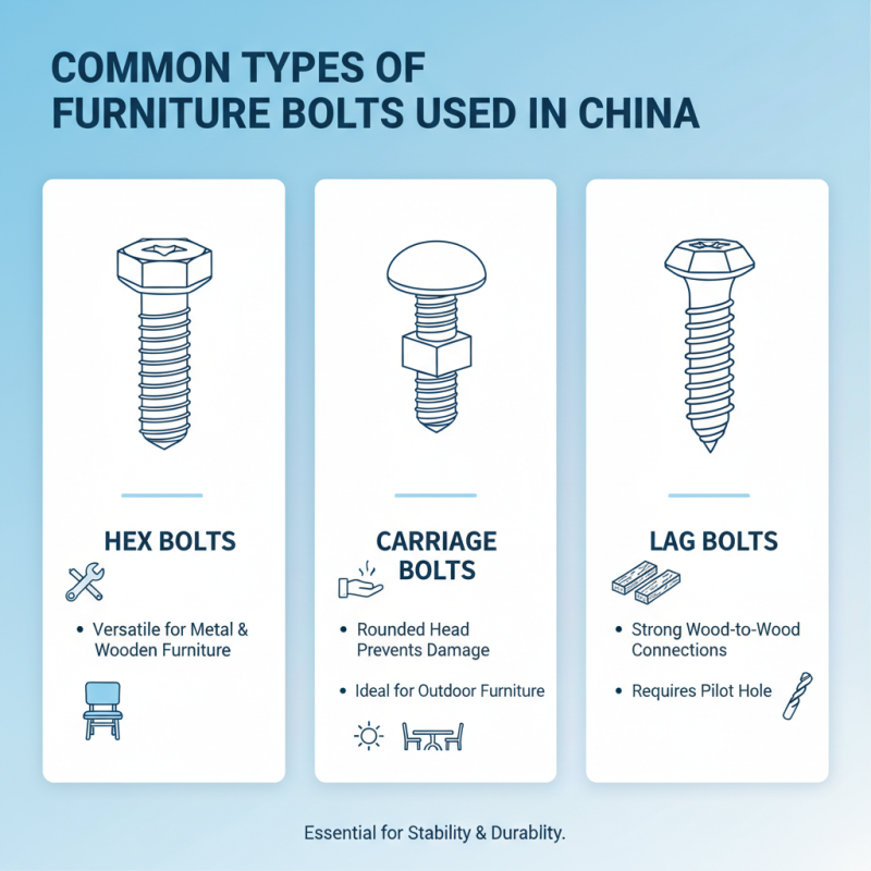 Discover the Best Furniture Bolt Types in China for Your Home Needs?