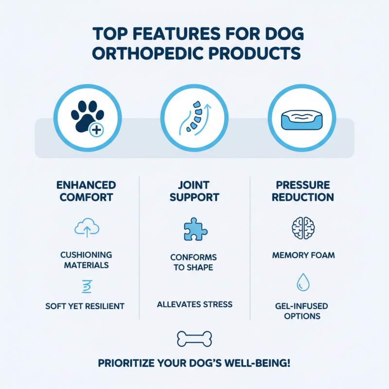China Best Orthopedic for Dogs Products What You Need to Know?