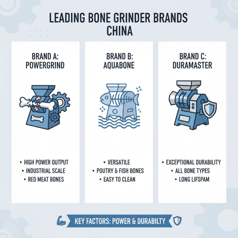 Discover the Best Bone Grinder Machine in China for Efficient Food Processing