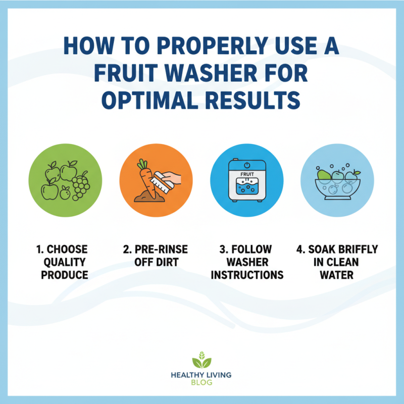 Best Fruit Washer for Fresh and Clean Produce Today?
