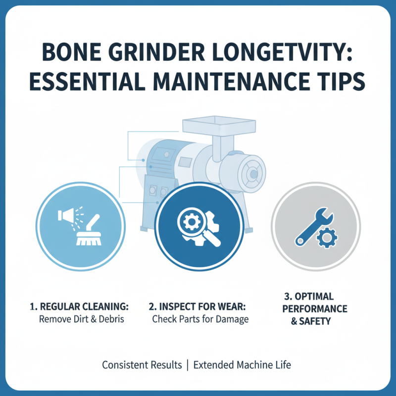 Discover the Best Bone Grinder Machine in China for Efficient Food Processing