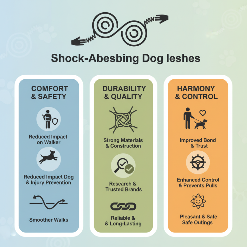 Best Shock Absorbing Leash for Dogs What to Look For?