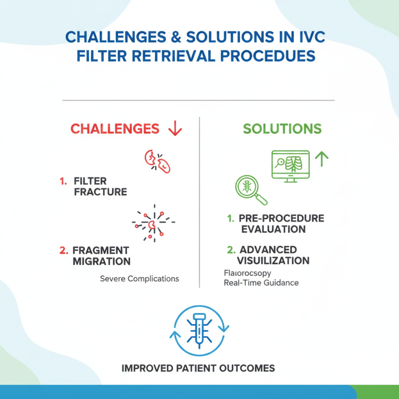 China Best IVC Filter Retrieval Techniques and Innovations?