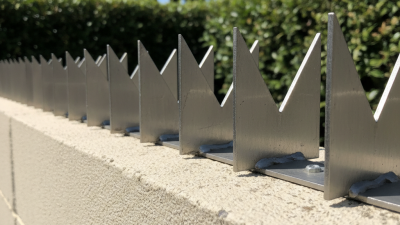How to Choose the Best 316 Wall Spikes for Security Needs?