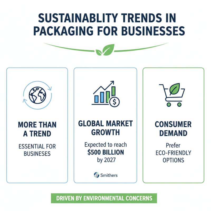 What Are the Best Package Boxes for Your Business Needs?