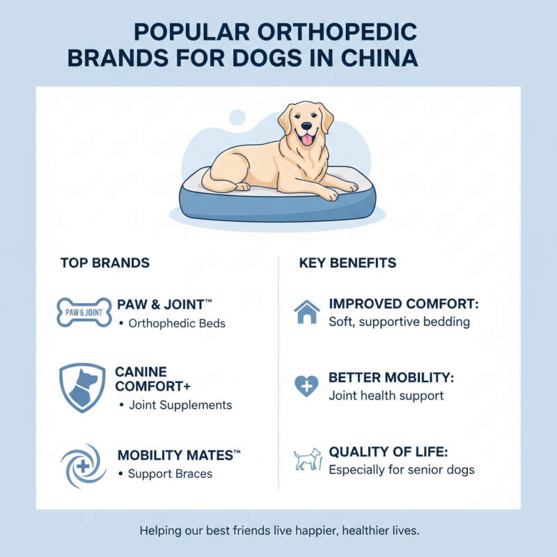China Best Orthopedic for Dogs Products What You Need to Know?