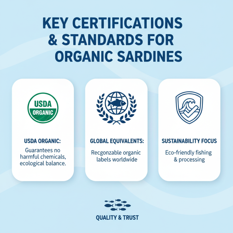 What is Organic Sardines and Why Should You Buy Them?