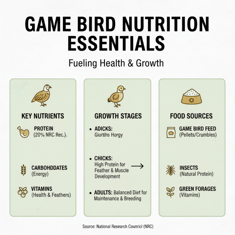China Top 10 Game Bird Feed Options for Optimal Nutrition?