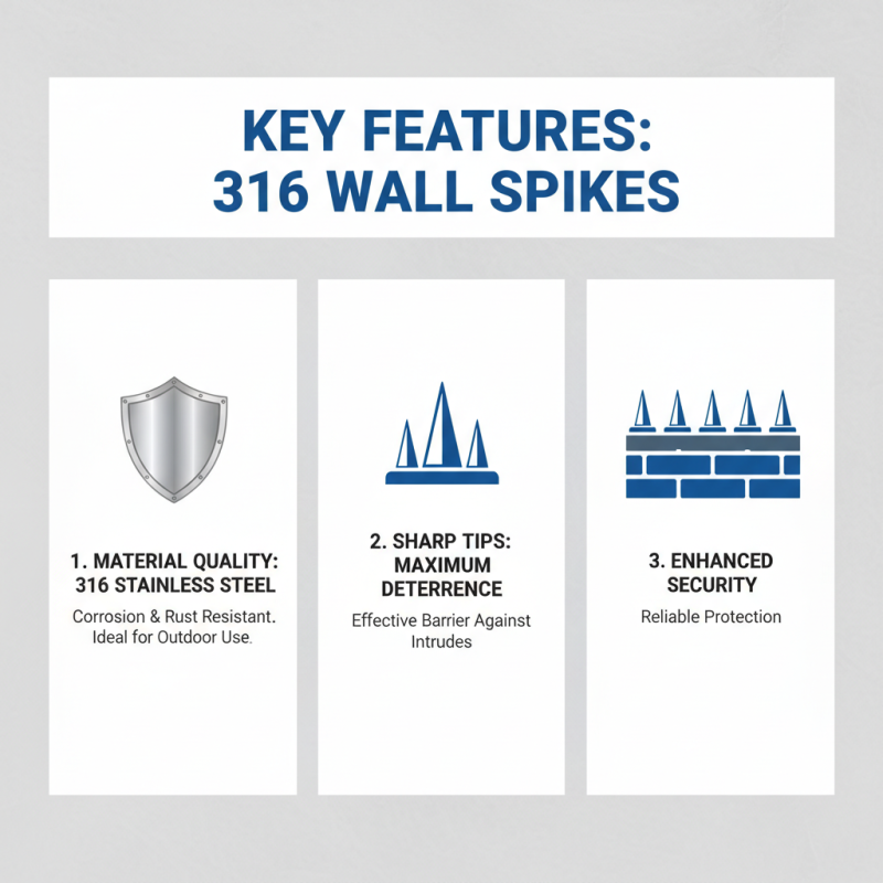 How to Choose the Best 316 Wall Spikes for Security Needs?