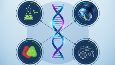 China Best DNA Stain Options for Effective Biological Research?