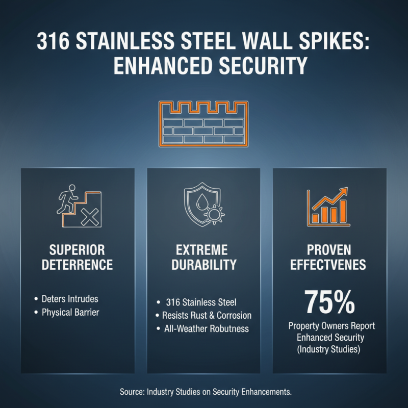 How to Choose the Best 316 Wall Spikes for Security Needs?