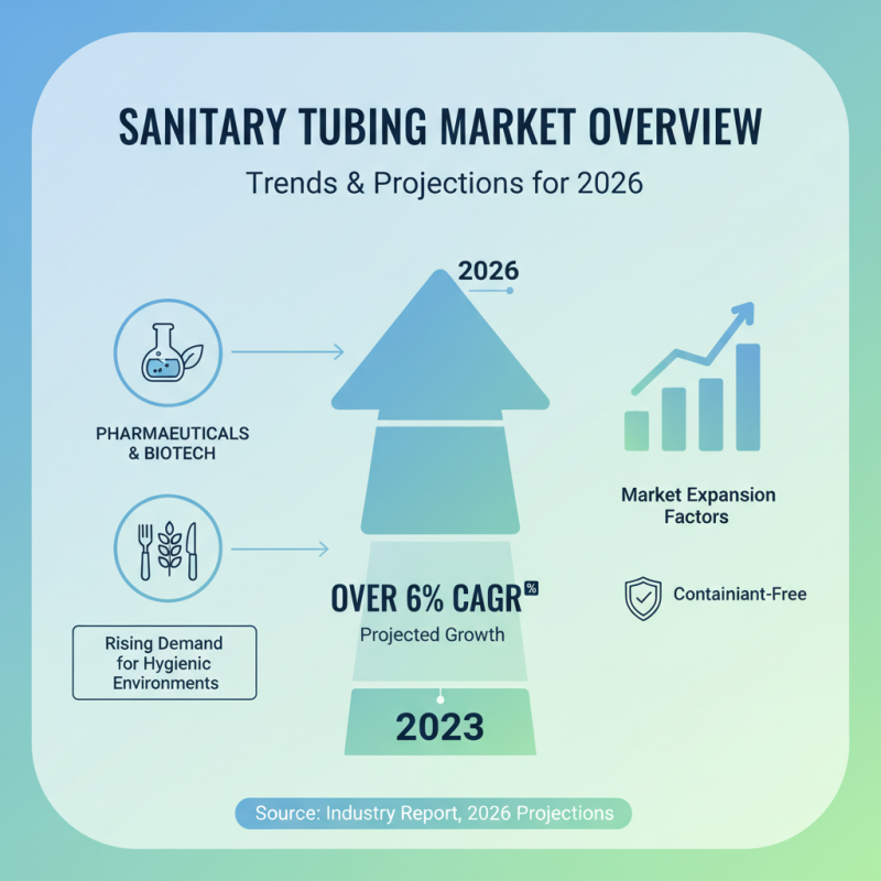 2026 Top Sanitary Tubing Insights for Global Buyers?