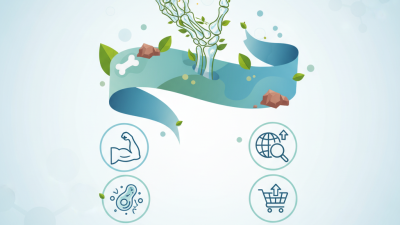 Top 10 Benefits of Calcium Bisglycinate for Global Buyers