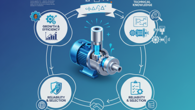 China Best Hydraulic Pump Physics Insights for Global Buyers?
