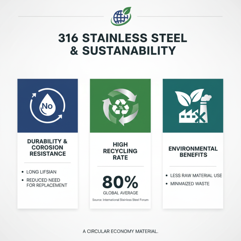 2026 Best Uses for 316 Stainless Steel in Everyday Applications?