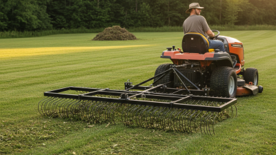 How to Choose the Best Riding Mower Rake for Your Lawn?