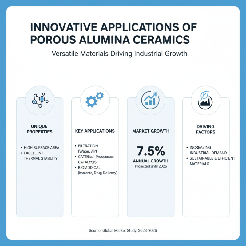 The 2026 Best Porous Alumina Ceramics for Global Buyers?