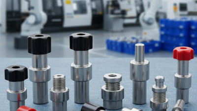 China Top Hand Retractable Spring Plunger Supplier for Global Buyers?