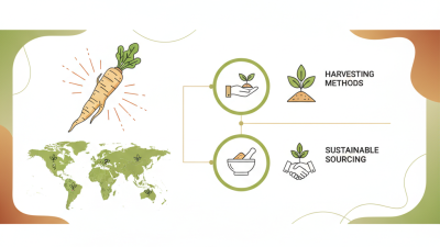 What is Сухой Хрен and How to Source It Globally?