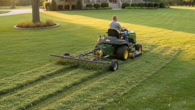 Top 10 Riding Mower Rake Options for Efficient Lawn Care?